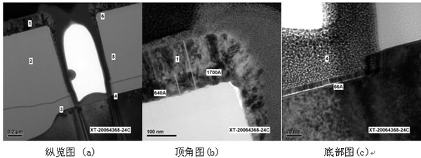 图五：接触孔Ti/TiN阶梯覆盖图