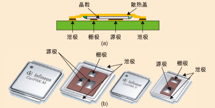 图1：(a) CanPAK的截面图；(b) CanPAK的俯视图及底视图。