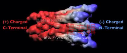 科学家研究用活体病毒为移动设备供电(电子工程专辑)