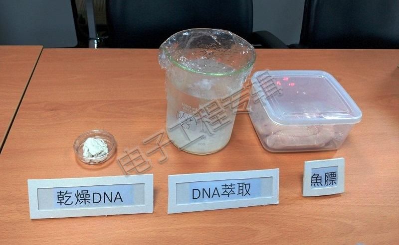 201812210-taiwan-dna-1.jpg