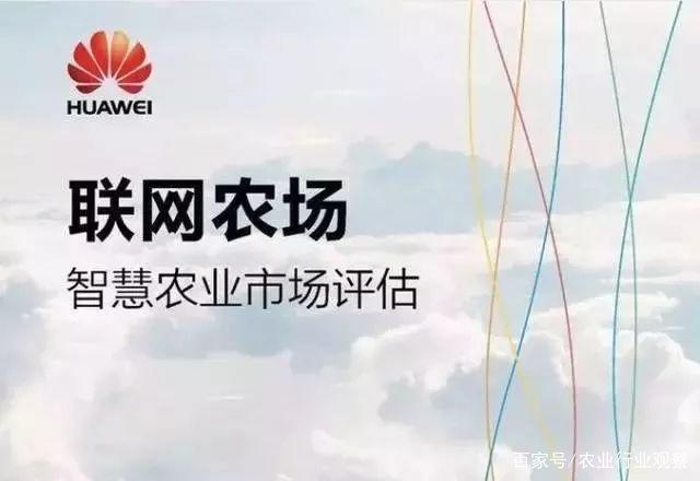 huawei19010804.jpg