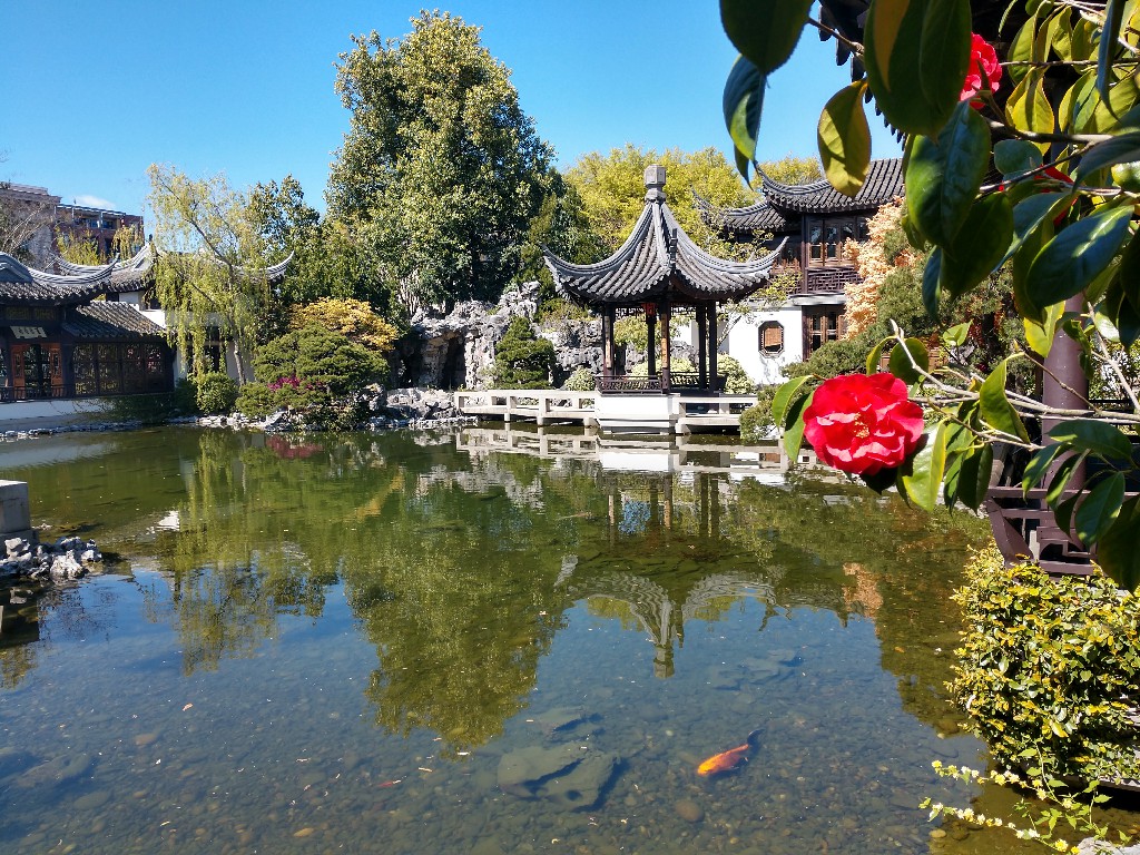 在Lan Su花园内。看到花园空无一人很伤悲。能看到如此美丽祥和的景色也是难得的特权。